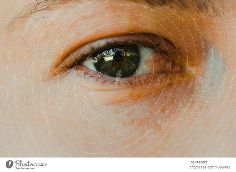 KEEP AN EYE ON green eye Macro (Extreme close-up) Looking Pupil Eyelash Detail Skin Eye colour Eyebrow Vision Iris Cornea body part Reflection Senses