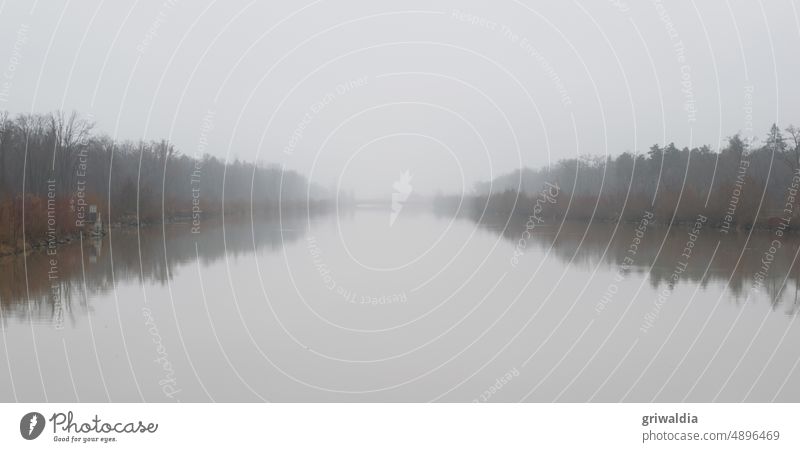 Foggy, by the river Water Body of water Monochrome Gray Autumn Calm quiet Lake Bad weather Landscape Nature shot Deserted Subdued colour tranquillity Cold