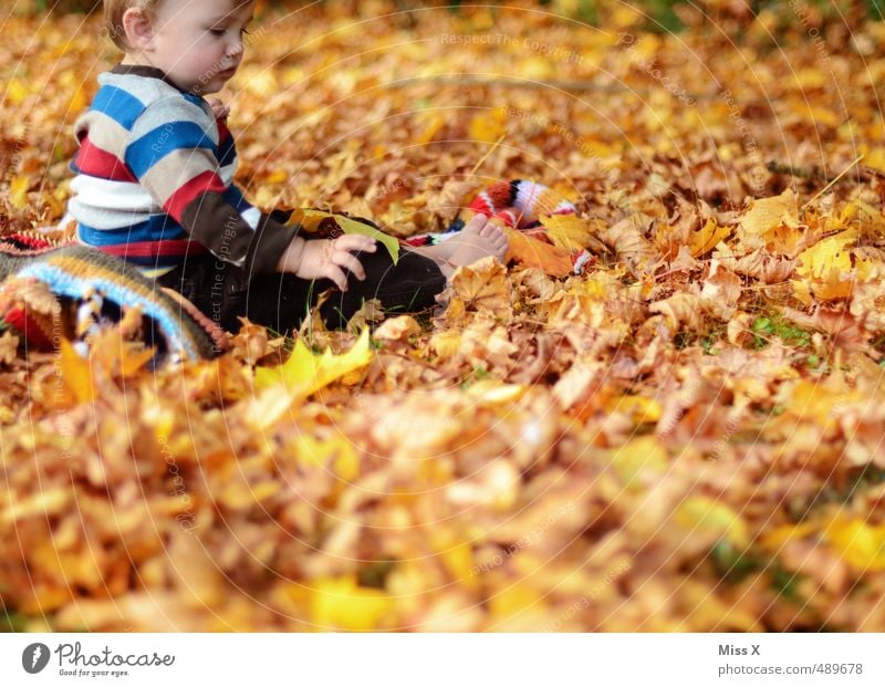 gambling Leisure and hobbies Playing Garden Human being Child Baby Toddler Infancy 1 0 - 12 months 1 - 3 years Autumn Leaf Park Forest Sweater Scarf Sit