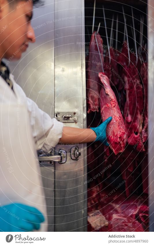 Male butcher checking meat in fridge man touch shop at work fresh cold male preserve raw hook professional industry hang piece butchery refrigerator product