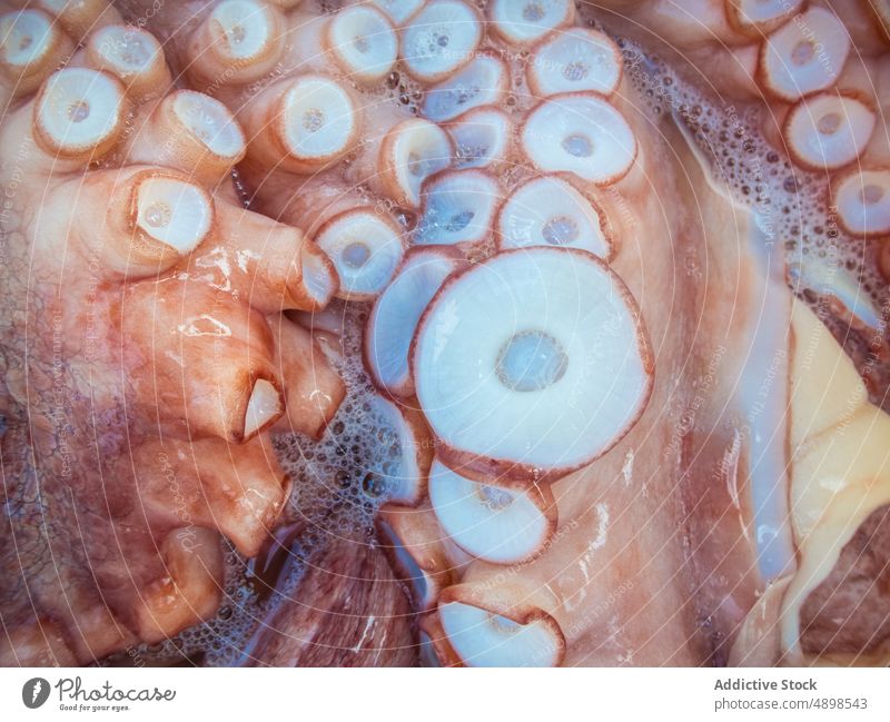 Fresh octopus tentacles with suckers seafood market raw fresh wet delicacy background rias baixas galicia spain mollusc product ingredient uncooked marine