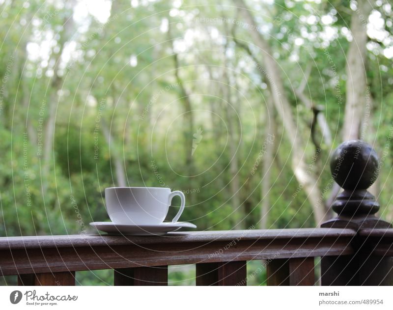 &lt;font color="#ffff00"&gt;-=it´s=- sync:ßÇÈâÈâ Beverage Drinking Hot drink Coffee Tea Emotions Cup Virgin forest Relaxation Teatime Forest Nature Break