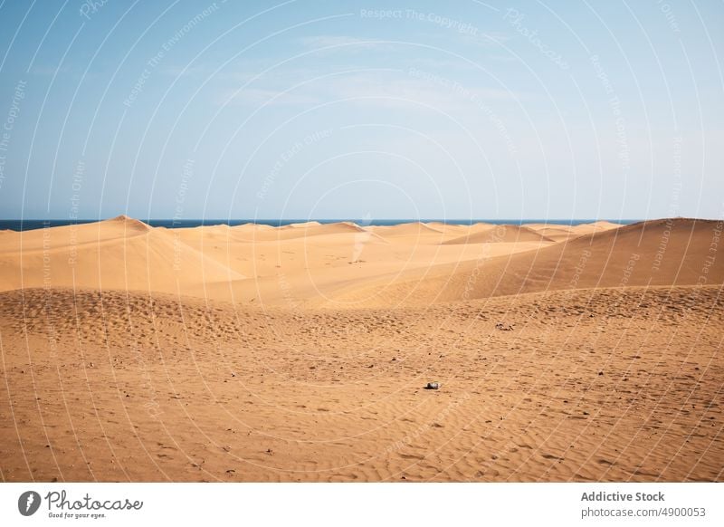Desert landscape against sea in nature dune desert sand arid coast shore tropical blue sky seashore summer dry cloudless terrain scenic drought scenery