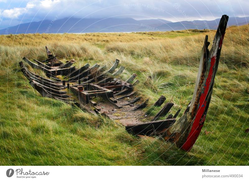 shipwreck Environment Nature Landscape Meadow Broken Wreck Ireland Colour photo Exterior shot