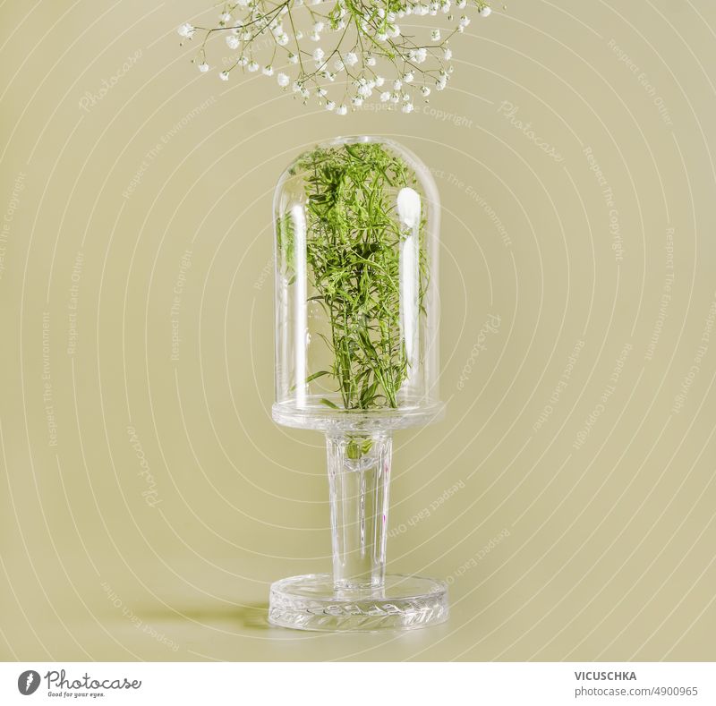 Transparent glass bell with herbs and white flowers at green background. transparent modern still life front view natural object petals