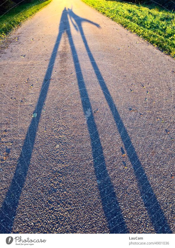 At the end of the day the shadows have long legs Shadow Shadow play Silhouette Sun Sunlight low sun Legs Light Contrast Sunset Exterior shot Figure shape