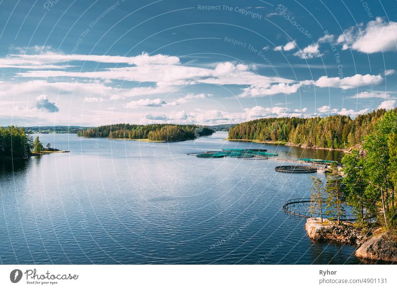 Fisheries, Fish Farm In Summer Lake Or River In Beautiful Summer Sunny Day. Swedish Nature, Sweden Tocksfors agriculture aquaculture aquatic bay beautiful