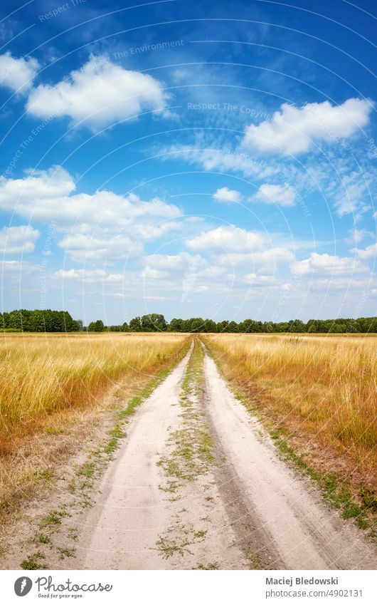 Dirt road cutting through a meadow on a sunny day with blue sky. nature landscape dirt road travel trip off road summer grass scenic scenery nobody empty