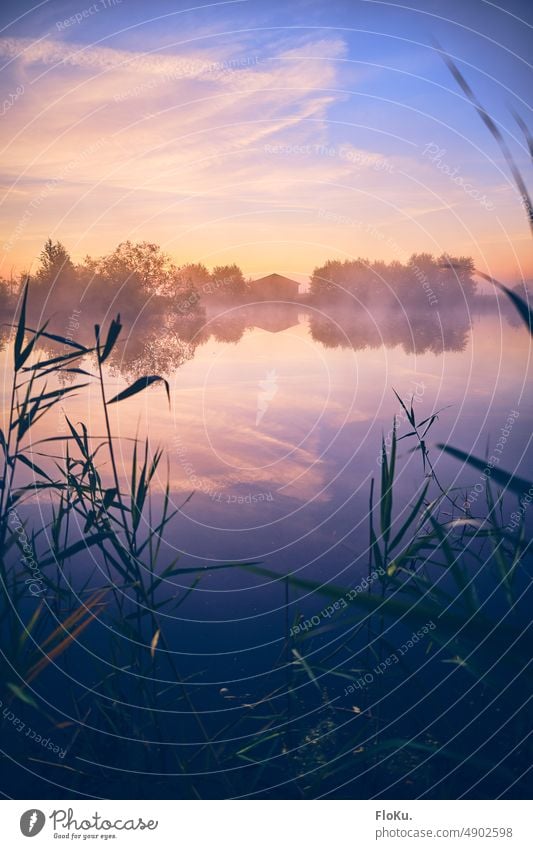 Colorful dawn over the lake colorforh colors Morning Dawn Sunrise Water Lake Pond Nature Fog Reflection Landscape Exterior shot Sky Calm Moody Deserted
