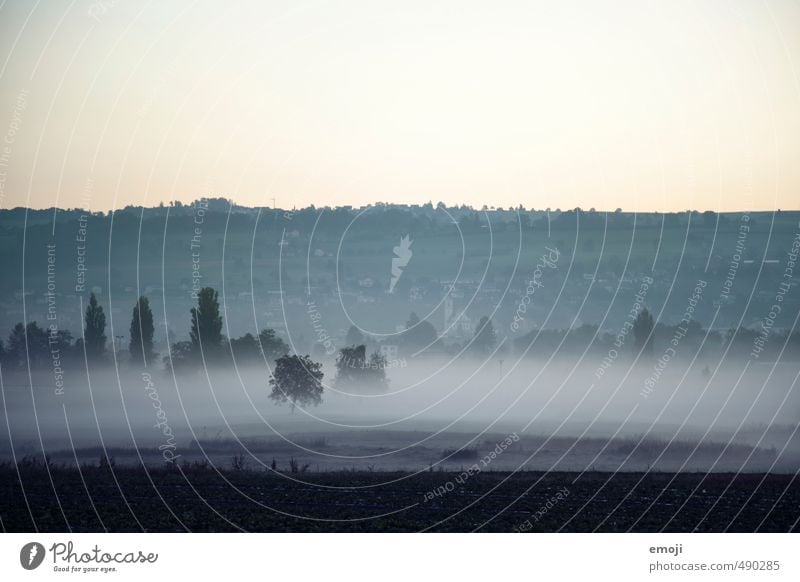 morning fog Environment Nature Landscape Autumn Fog Field Dark Cold Blue Colour photo Subdued colour Exterior shot Deserted Copy Space top Morning Dawn