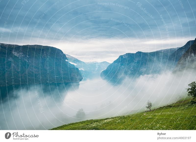 Sogn And Fjordane Fjord, Norway. Amazing Fjord Sogn Og Fjordane In Fog Clouds. Summer Scenic View Of Famous Natural Attraction Landmark And Popular Destination In Summer. Misty Weather
