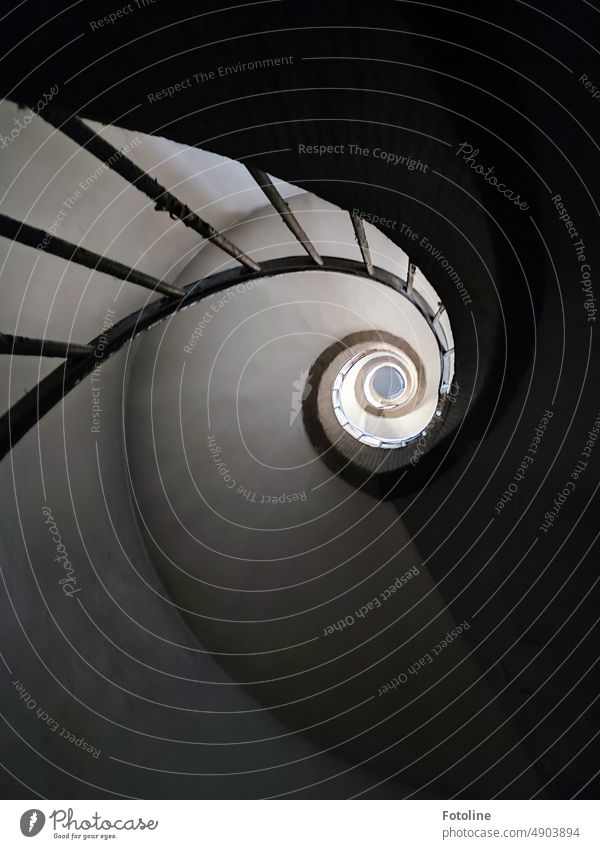 This beautiful winding staircase with spiral staircase winds up and makes me feel like I'm in a snail shell. Staircase (Hallway) Winding staircase Stairs