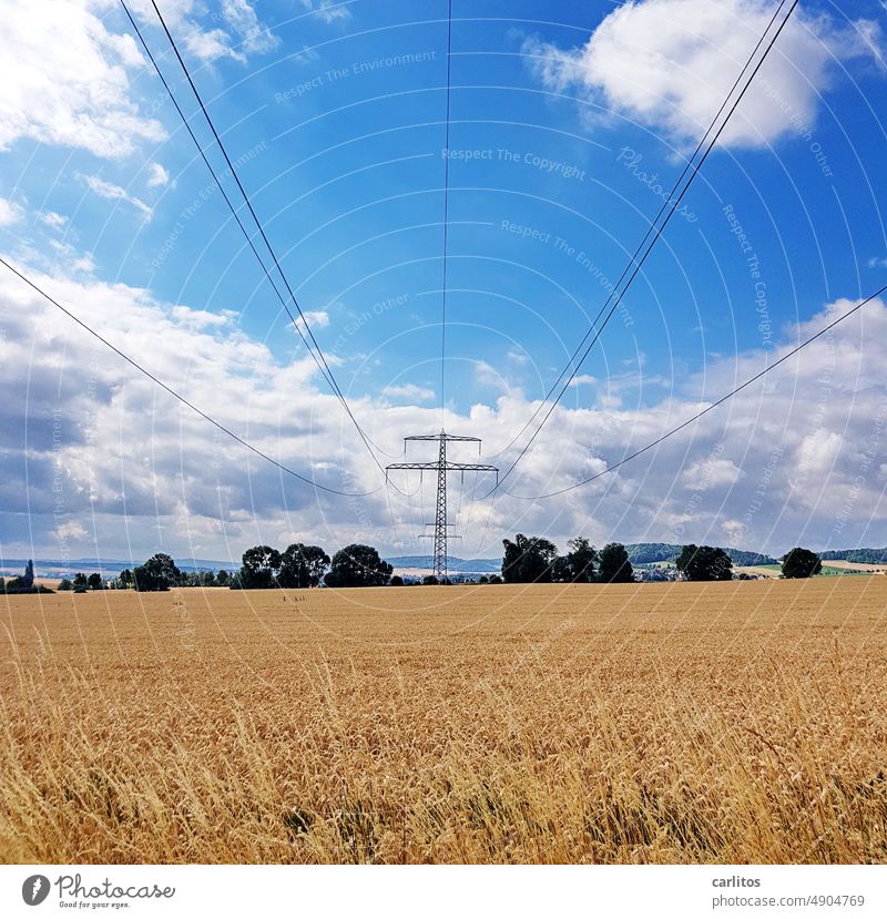 A pole in the cornfield that never has free ...... stream Electricity pylon Transmission lines Cable high voltage Energy Field acre Cornfield Grain