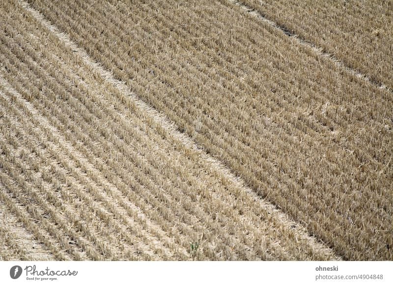 A mowed harvested grain field aridity Climate change Drought Agriculture Stubble field Grain field Wheat Barley Rye Field Cornfield Harvest Nutrition Food