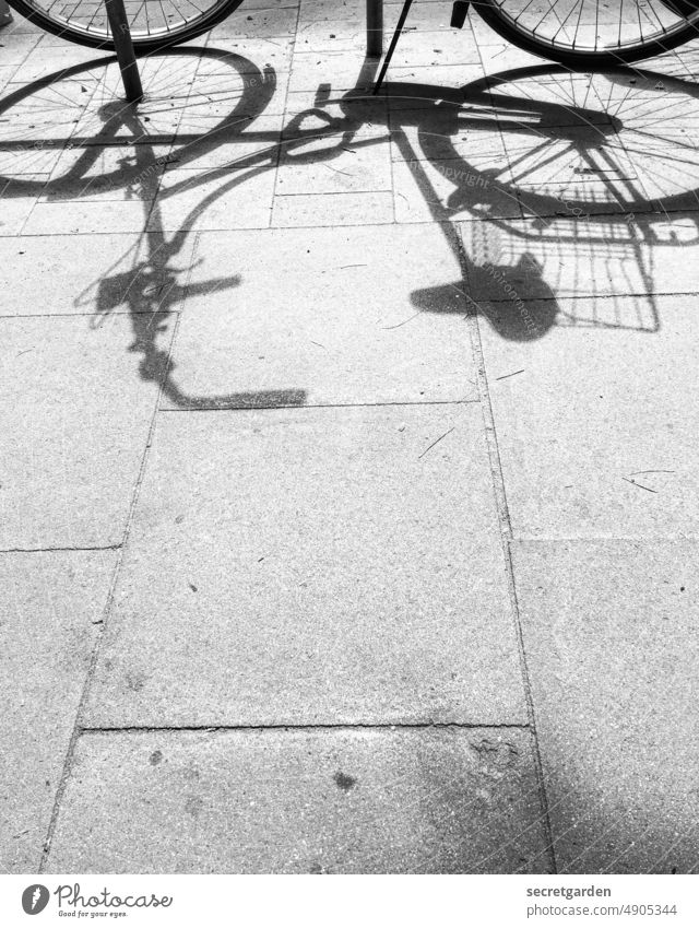 topless Wheel Bicycle Sidewalk Black & white photo Shadow play Dark side Shadowy existence Exterior shot Light Street Contrast shadow cast Sunlight Mobility