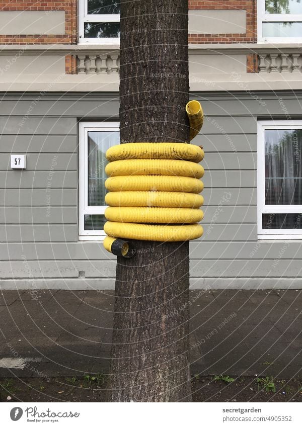 Shock absorber on the 57 Arrangement Tree Building Town Protection prevention Tree trunk Sidewalk Yellow Colour photo Exterior shot Deserted Day Facade Street
