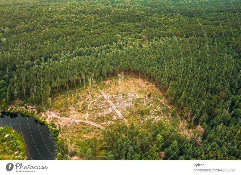 Aerial View Green Forest Deforestation Area Landscape. Top View Of Beautiful European Nature From High Attitude In Summer Season. Drone View. Bird's Eye View