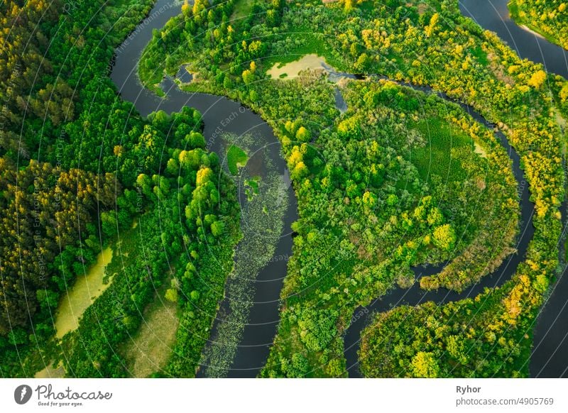 Aerial View Green Forest Woods And River Landscape In Sunny Spring Evening. Top View Of Beautiful European Nature From High Attitude In Summer Season. Drone View. Bird's Eye View