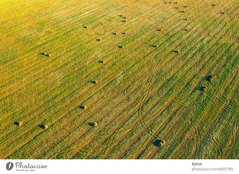Aerial View of Summer Field Landscape With With Dry Hay Bales During Harvest. Trails Lines on Farmland. Top View Agricultural Landscape. Drone View. Bird's Eye View