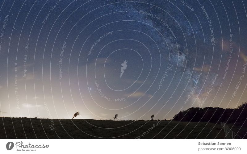 Silhouettes of small trees on a pasture with milky way on the night sky in summer, Normandy, France galaxy stars background dark space landscape outdoor nature