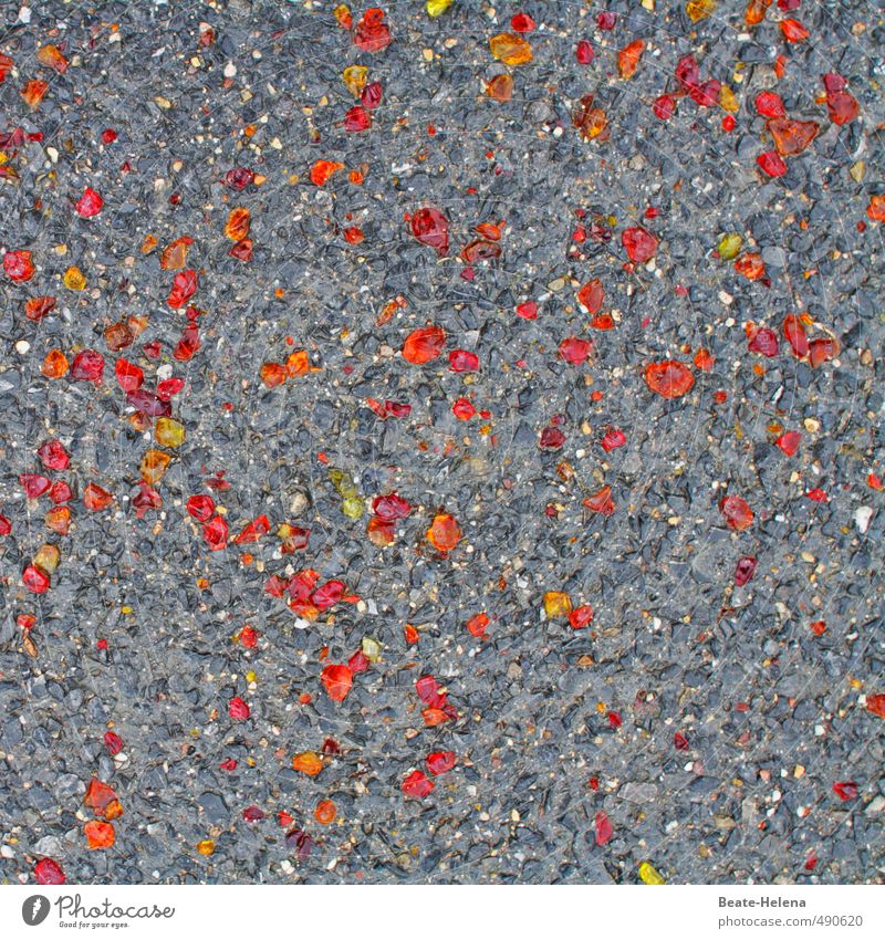 !trash! 2013 | Party Floor Lifestyle Floor covering Street Lanes & trails Stone Glittering Cool (slang) Brash Hip & trendy Town Yellow Gray Orange Red Pavement