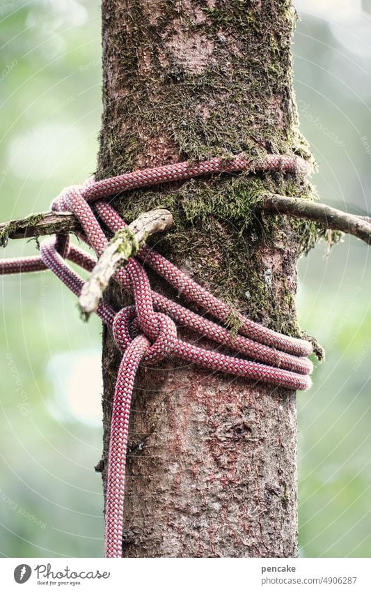 crime scene | torture post Tree Rope rope Knot Close-up Structures and shapes Detail String Bind fast Forest Climbing Climbing rope Playing secure sb./sth.
