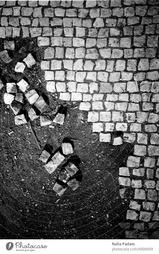 Paving stones in order and in disorder Analog Analogue photo B/W Black & white photo Exterior shot black-and-white Deserted Stone Row Arrangement Street