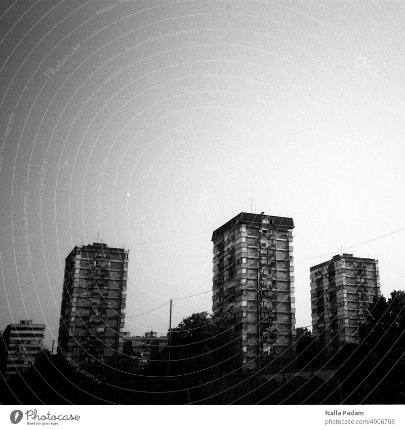 Four skyscrapers - just standing around Analog Analogue photo B/W Black & white photo Exterior shot black-and-white Deserted Architecture Sky Concrete dwell