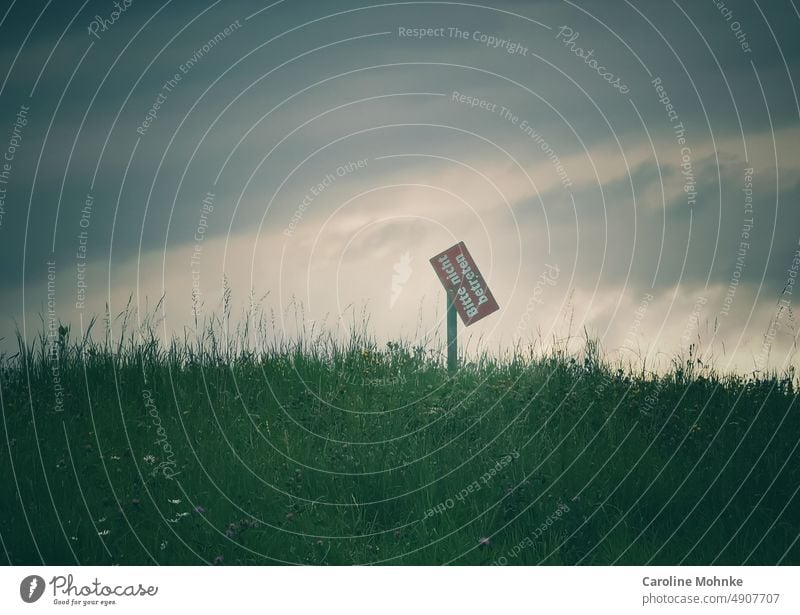 Please do not enter Meadow Flower Nature Summer sign Flower meadow Sky cloudy Grass Colour photo Environment Exterior shot Blossoming Wild plant Deserted Day