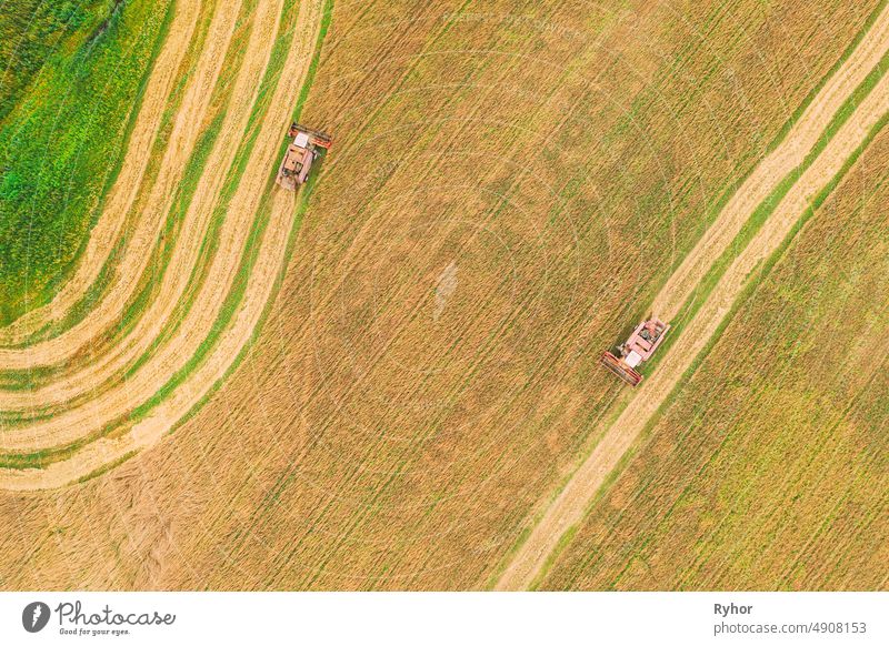 Aerial View Of Rural Landscape. Two Combines Harvesters Working In Field, Collects Seeds. Harvesting Of Wheat In Late Summer. Agricultural Machine Collecting Golden Ripe. Bird's-eye Drone View