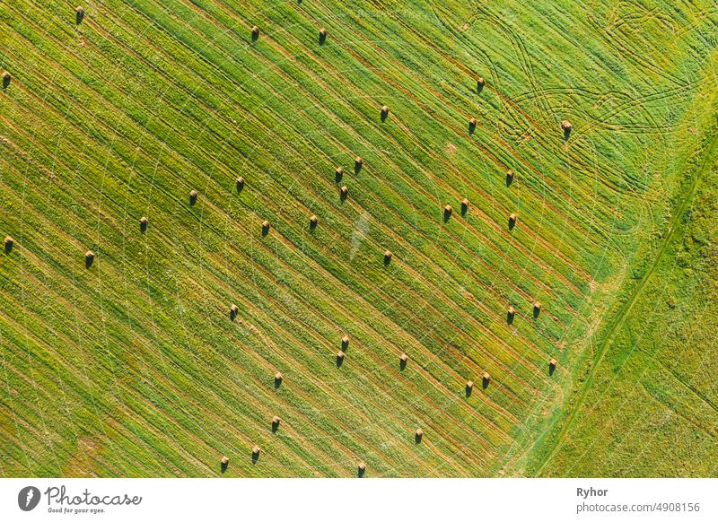 Aerial View of Summer Field Landscape With With Dry Hay Bales During Harvest. Trails Lines on Farmland. Top View Agricultural Landscape. Drone View. Bird's Eye View