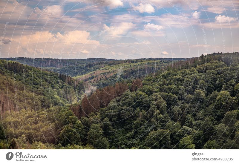 View from the Müngsten Bridge Sky Forest Landscape from on high Green Hill Nature Summer Environment Day Deserted Exterior shot Copy Space top Beautiful weather