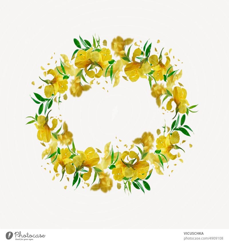 Circle frame of yellow iris flowers, petals and green leaves at white background. circle beautiful floral wreath objects design botanical copy space nature