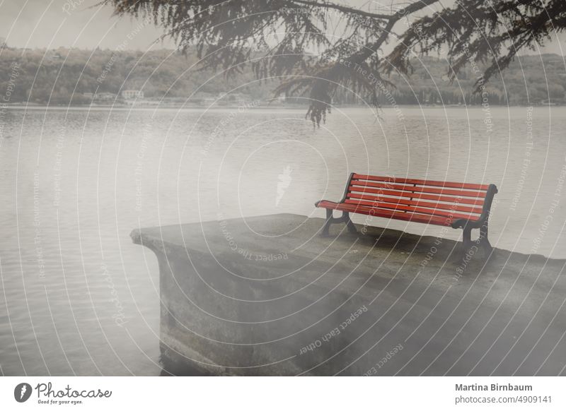 A red park bench at the lake in the fog, concept of grief and loss sorrow mourning all saints grieving november nature landscape wooden outdoor beautiful water