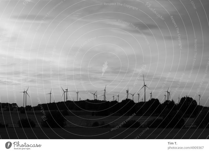 Wind energy in Brandenburg wind power b/w Twilight Skyline Black & white photo Day B/W Exterior shot Deserted B&W alternative energy Energy industry wind farm