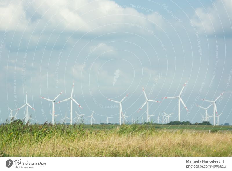 Typical countryside in Schleswig-Holstein wind farm Energy wind energy Environment land landscape photograph Country life Summer Summery Field Pinwheel