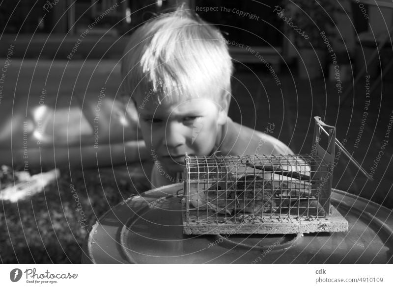 Childhood | the mouse is trapped. | observe & empathize. Boy (child) Infancy Mouse captured mouse Live trap Garden Cage Animal Freedom imprisonment Emotions