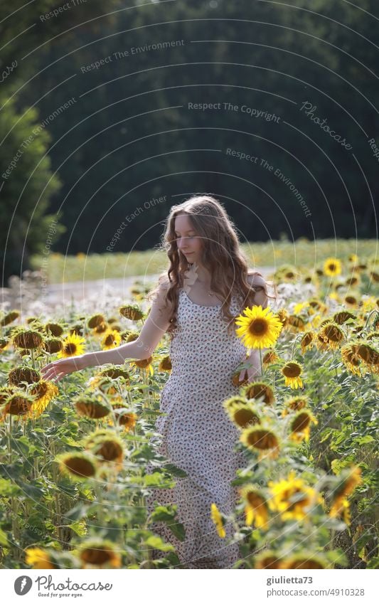 Summer is over... | Young long haired woman in faded sunflower field portrait End of summer Sunlight Sunflowers Sunflower field Faded Yellow Exterior shot