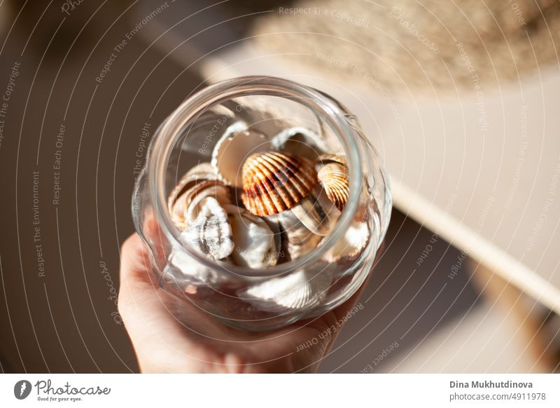 Close-up of hand holding a round glass jar with seashells. Seashells in a glass jar as home decor. Apartment decorated with seashells. Marine style interior design. Vacation mode.