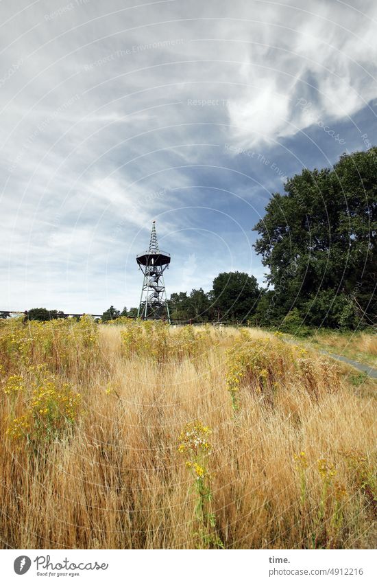 Wanderlust | Meadow, forest and climbing tower Lookout tower Forest Sky Clouds Hiking travel Nature Rural Overview far vision Vantage point Vacation & Travel