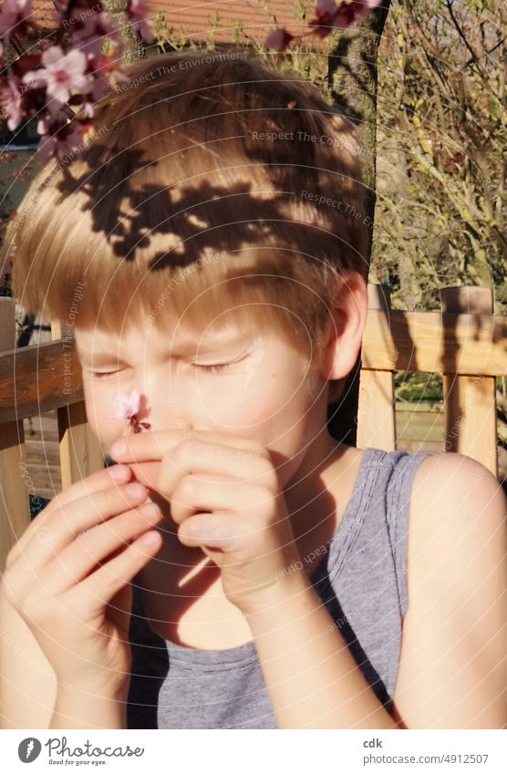 Childhood | sun on the skin | cherry blossoms in the hair | playing in the tree house. Human being Boy (child) portrait Face Expression Closed eyes Sun sunny