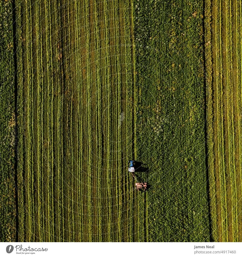 Farm Field being Mowed in the Evening grass sunny natural grassy american hay nature land meadow background agriculture plant midwest usa tree growth wisconsin