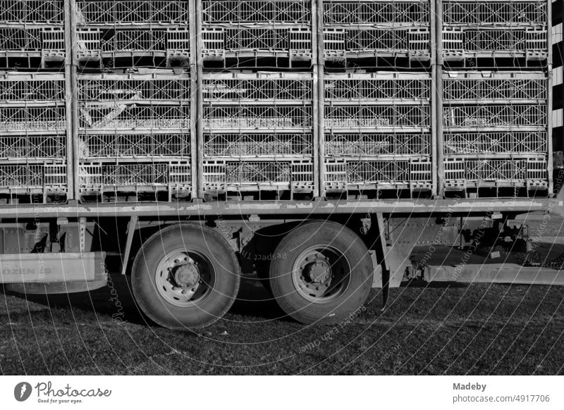 Tandem trailer with twin tires of a large cattle truck for poultry in the village of Maksudiye near Adapazari in the province of Sakarya in Turkey, photographed in neo-realistic black and white