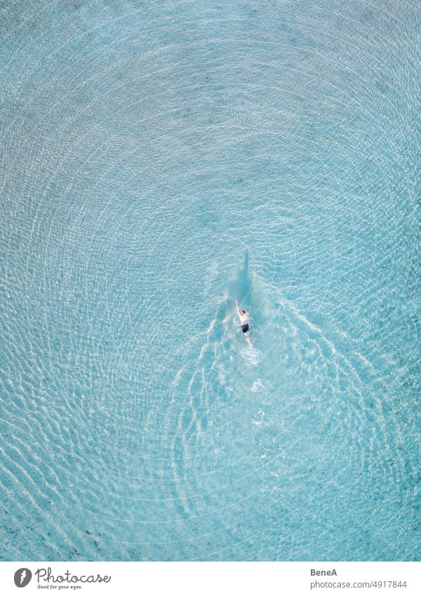 Man swimming in crystal clear water Aerial Aqua Bathing Bay Beach Beautiful Blue Calm Clear Coast Coastal Coastline Crystal Destination Exotic Free Holiday