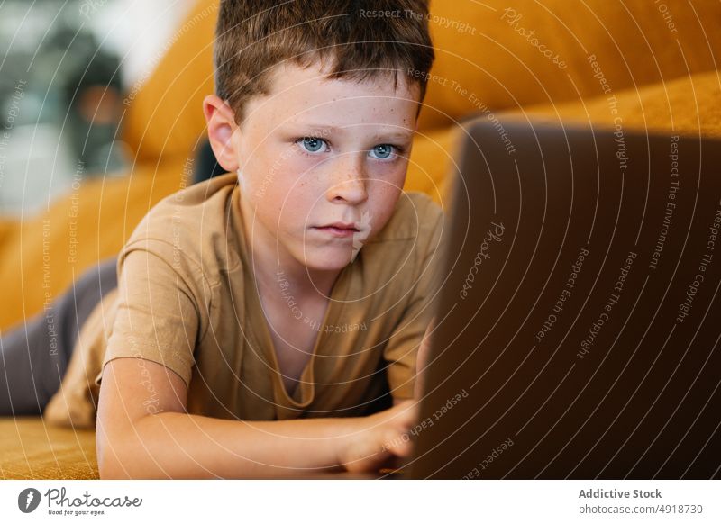 Boy lying on a sofa using the laptop child computer boy caucasian technology male kid indoors home childhood little game internet play young youth digital