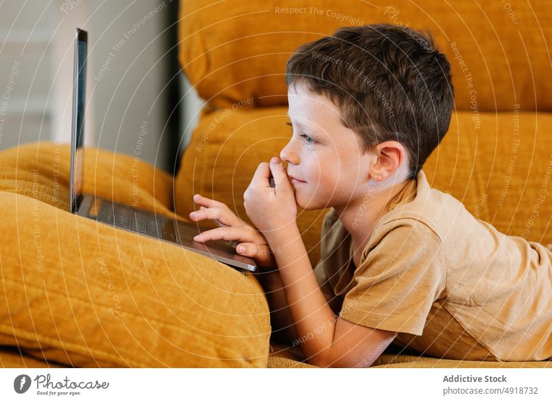 Boy lying on a sofa using the laptop child computer boy happy caucasian technology male kid smiling indoors home childhood little game internet play young smile