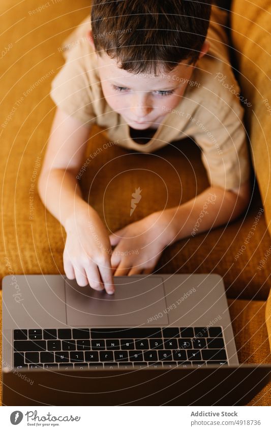 Boy lying on a sofa using the laptop child computer boy caucasian technology male kid indoors home childhood little game internet play young digital at home