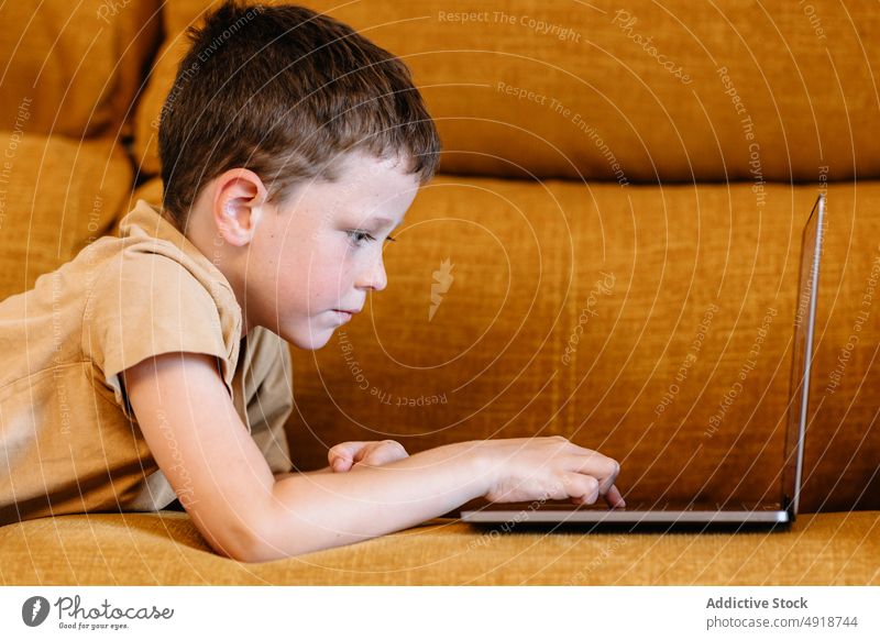 Boy lying on a sofa using the laptop child computer boy caucasian technology male kid indoors home childhood little game internet play young youth digital