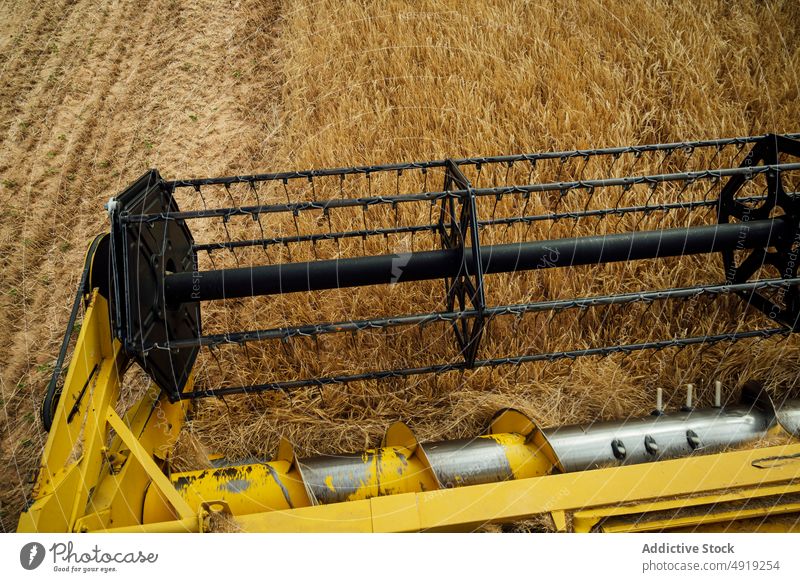 Combine harvester collecting wheat in field combine grain crop agriculture machine countryside reel farm detail mechanism cereal industry cultivate rural