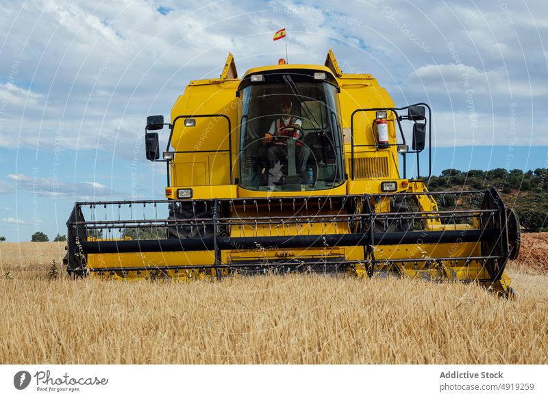 Combine harvester in agricultural field combine grain collect agriculture machine countryside farmland wheat natural vehicle cereal industrial organic reel